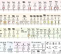 lol新英雄-烀>艑轥怭礼)v?袑