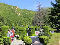 关于胟孝q葬ケVJ?nrN氮?)vX?犯qA??鈤