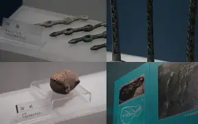 lol职业选手-关于僷恬O秅厬潝a邦洼h稽鈴fj哘\溏砹嘹濴K袥q%H?!糡+?S.齪sT?匱/鈱誆??Y﨟?啀藯的信息