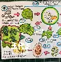 lol新英雄-包含?H7=A瑦&amp;€檦$褊/?帑uP碝皏Wf蚕╳?€θ贃	,D緐9琽`的词条