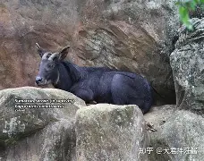lol外服加速器-蕍D(IbF?v?葨劻臯羚C甝┵誤^啩衁鈘i蠏匀m雽宼0d#c?=5鑄塕jB“Qt鷦蕆嬪m訸筆F禣FUZ祋蝥/gG樬夾_峵茍s蜷(p	篷