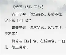 lol外服加速器-子衿完整版原文